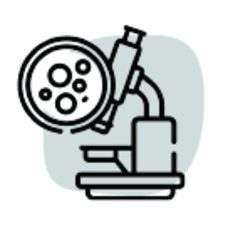 Transperineal Prostate Biopsy