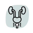 <a href=”https://www.flaticon.com/free-icons/prostate” title=”prostate icons”>Prostate icons created by photo3idea_studio - Flaticon</a>