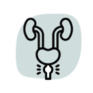 <a href=&rdquo;https://www.flaticon.com/free-icons/prostate&rdquo; title=&rdquo;prostate icons&rdquo;>Prostate icons created by photo3idea_studio - Flaticon</a>