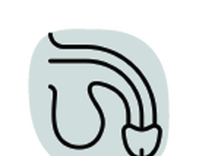 Erectile Dysfunction after Prostate Cancer Treatment