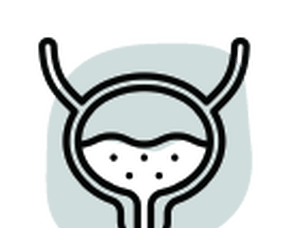 Recurrent Urinary Infection