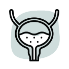 <a href=”https://www.flaticon.com/free-icons/bladder” title=”bladder icons”>Bladder icons created by Freepik - Flaticon</a>