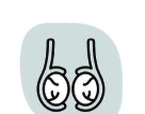 Vasectomy Reversal