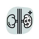 <a href=”https://www.flaticon.com/free-icons/kidney” title=”kidney icons”>Kidney icons created by Eucalyp - Flaticon</a>