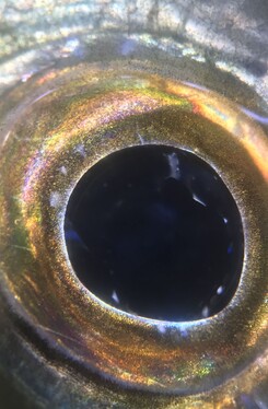 Book a Consultation Now