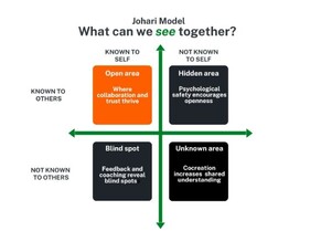 Are You Brave Enough to Look Through the Window?