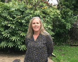 Counted, Kelly Windley, Digital Media, Hawkes Bay Accounting and Bookkeeping Company 