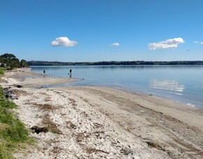 Manukau Harbour Matters