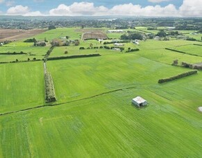 Boosting Our Rural Businesses