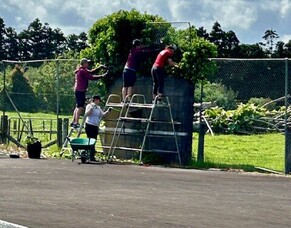 Breathing New Life into the Waiau Pa Tennis Courts for Our Local Community