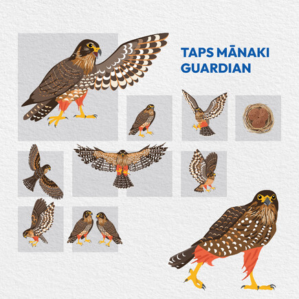 Kaz – Design. Brand. Web. can design magazines for you