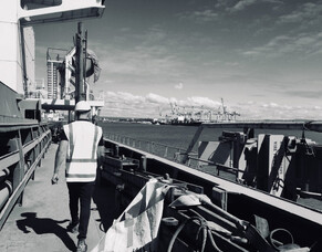 2012-2022: A Decade of Continuous Expansion