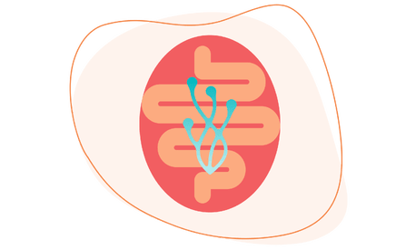 The gut brain icon mBraining coaching with Michelle Rohleder
