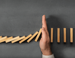 NZ Real Estate - The Transition.