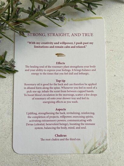 Rosemary Oracle Card Essential Oils Oracle Cards