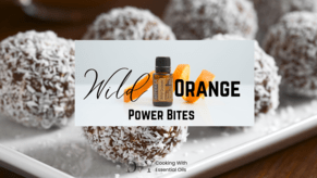 Wild Orange Power Bites
