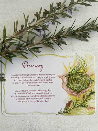 Essential Oil Oracle Cards - Rosemary Card