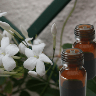 Jasmine essential oil for people with Leo in their starsigns or birthcharts.