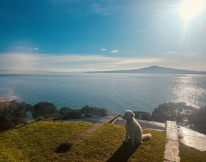 Boredom, ADHD, and the Goldilocks Pause | Finding the Good Nothing