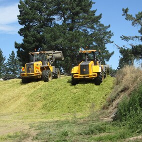 Silage