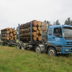 Logging