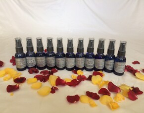 Autistic Teen Case Study