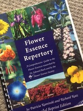 The Flower Essence Ranges I Use And Why