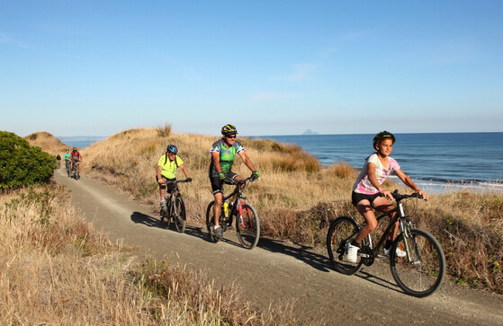 Things to do in Opotiki | Bike trails and cycling