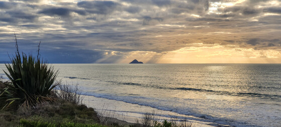 New Zealand sunrise | Opotiki