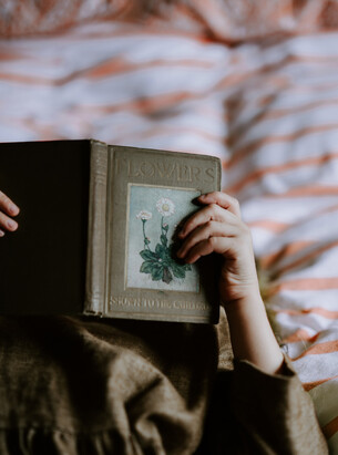 Opotiki accommodation relaxing