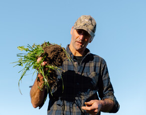 Understanding the Rere ki uta rere ki tai Soil Testing Programme