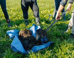 3 Quick Checks for Soil Health on Your Farm This Spring (DIY Style)