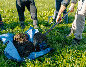 3 Quick Checks for Soil Health on Your Farm This Spring (DIY Style)