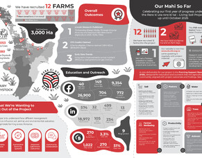 A Year in Review: Rere ki uta rere ki tai - Living Soil Project