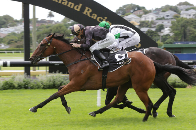 Lickety Split will contest the Gr.3 Cambridge Stud Northland Breeders’ Stakes (1200m) at Ruakaka on Saturday. - Photo: Trish Dunell