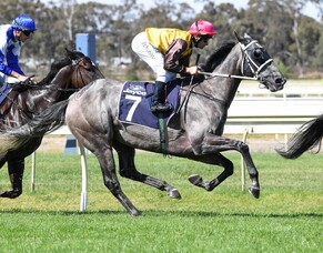 Sully set to thrive in wet conditions