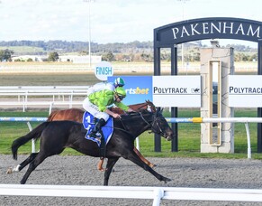 Diamondsandbubbles relishing Pakenham surface