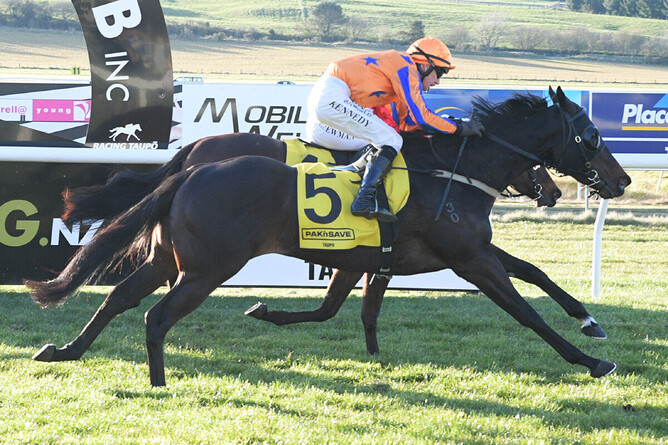Quintessa winning at Taupo on Wednesday. - Photo: Kenton Wright (Race Images)