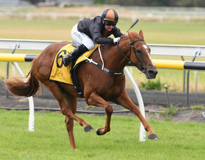 Ruakaka filly strengthens Oaks bid with thrilling victory