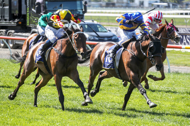 Dragon Storm (inner) and Lincoln King set down to fight out a thrilling finish to the Gr.3 Christchurch Casino New Zealand Cup (3200m)  - Photo Credit: Race Images South