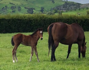 Winning double for Wentwood graduates