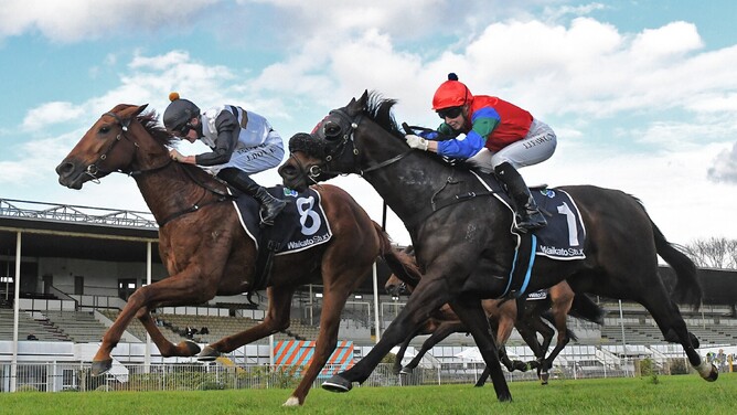 Elle Sourit winning the Super Seth 1500 (1500m) at Te Rapa on Saturday.  - Photo: Kenton Wright (Race Images)