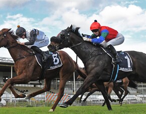 Promising mare remains unbeaten with Te Rapa victory