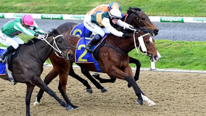 Good Brothers winning at Cambridge on Wednesday.  - Photo: Kenton Wright, Race Images