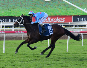 Manzoice back on top in Tattersall’s Cup