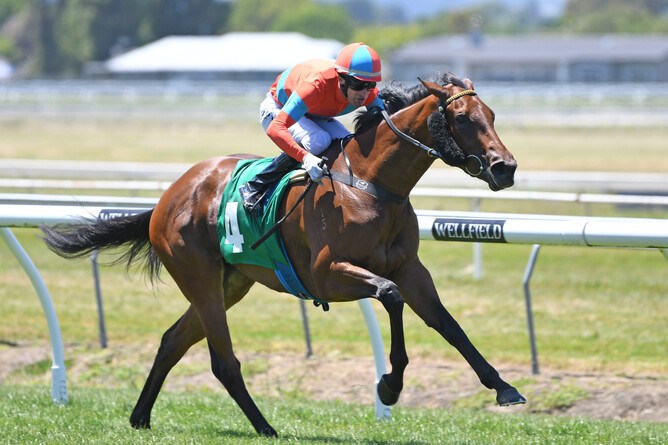 Miss Labasa is comfortably clear as she heads to the finish line at Awapuni - Race Images, Peter Rubery