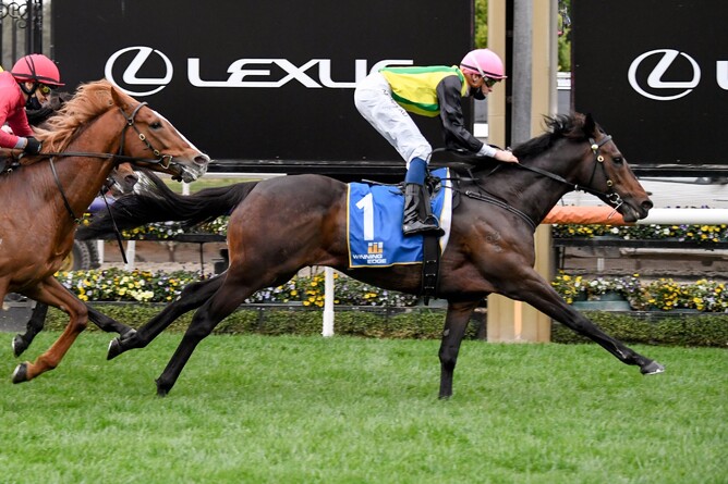The Chosen One will contest the Gr.1 Underwood Stakes (1800m) at Caulfield on Saturday