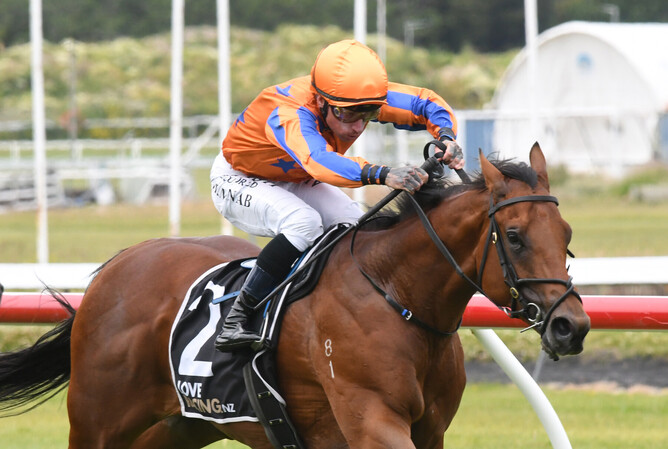 When Stars Align was the victor in a Te Akau quinella in the Japac Homes (1100m) at Trentham on Saturday. - Photo: Peter Rubery (Race Images Palmerston North)