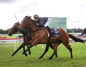 Lickety Split starts spring campaign in style