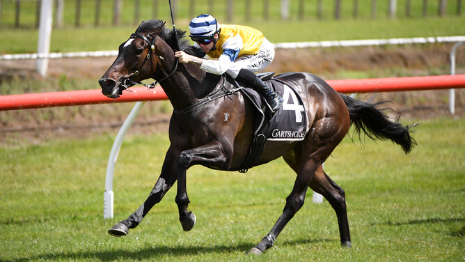 Mary Shan winning the Gr.3 Bayleys Great Northern Challenge Stakes (1600m) at Ellerslie on Saturday.  - Photo: Kenton Wright (Race Images)